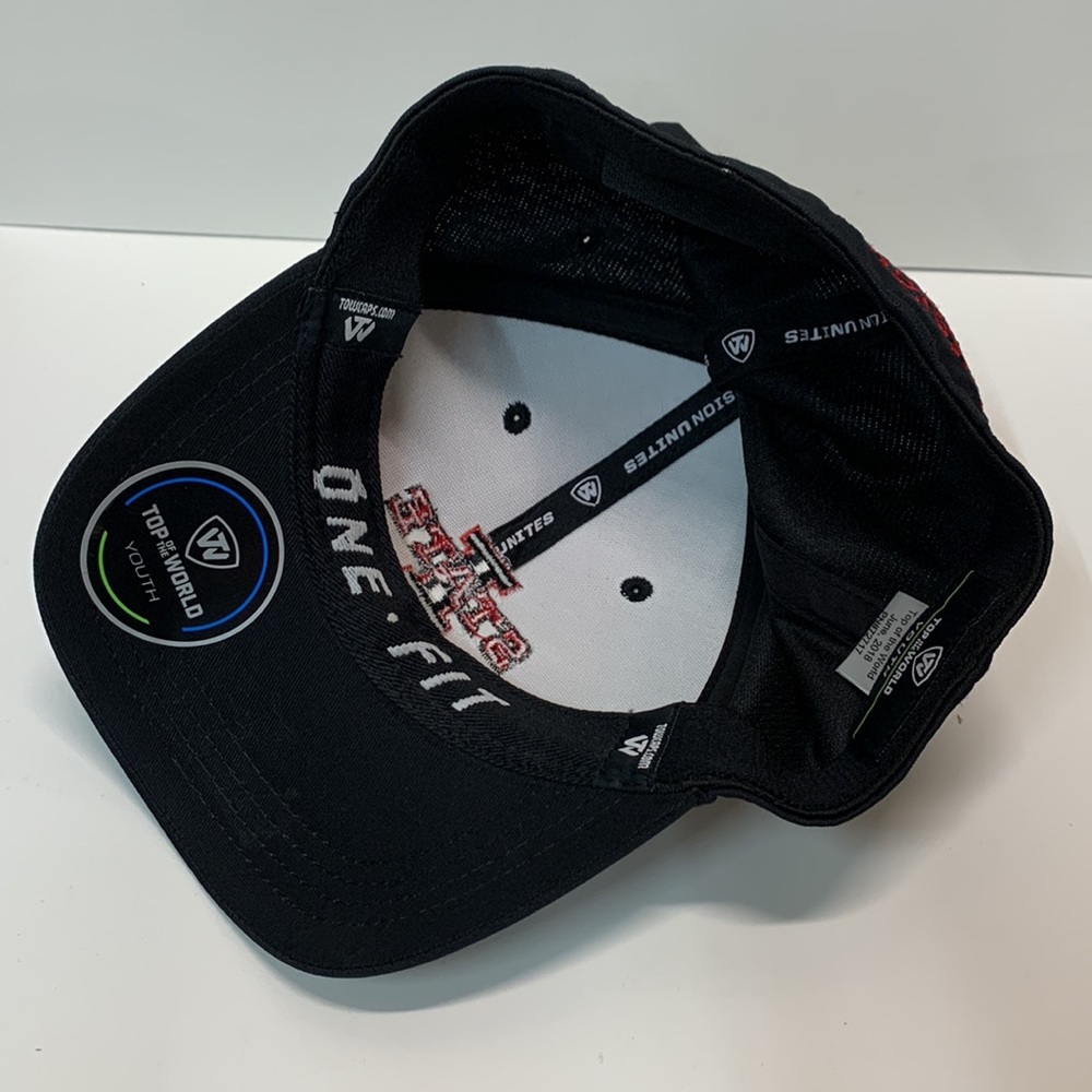 NWT Iowa State University Logo Hat Firm - Picture 8 of 12